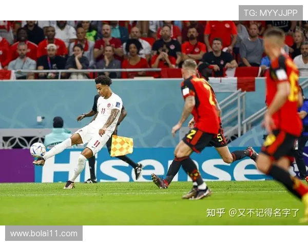 比利时与挪威精彩对决直播全程放送